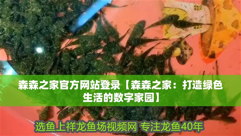 森森之家官方網站登錄【森森之家：打造綠色生活的數字家園】