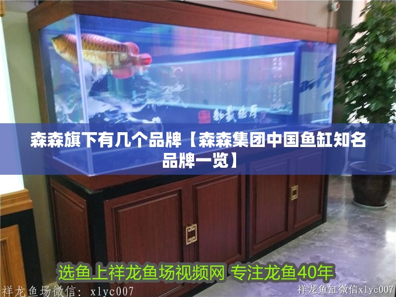 森森旗下有幾個品牌【森森集團中國魚缸知名品牌一覽】