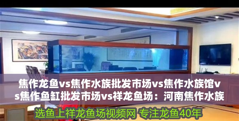 焦作龍魚vs焦作水族批發(fā)市場vs焦作水族館vs焦作魚缸批發(fā)市場vs祥龍魚場：河南焦作水族批發(fā)市場地址焦作水族批發(fā)市場地址介紹