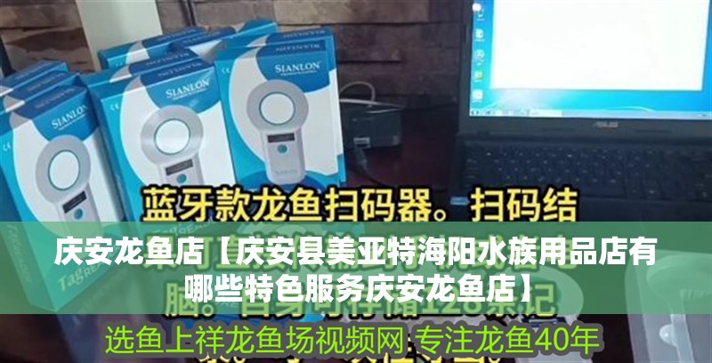 慶安龍魚店【慶安縣美亞特海陽水族用品店有哪些特色服務慶安龍魚店】