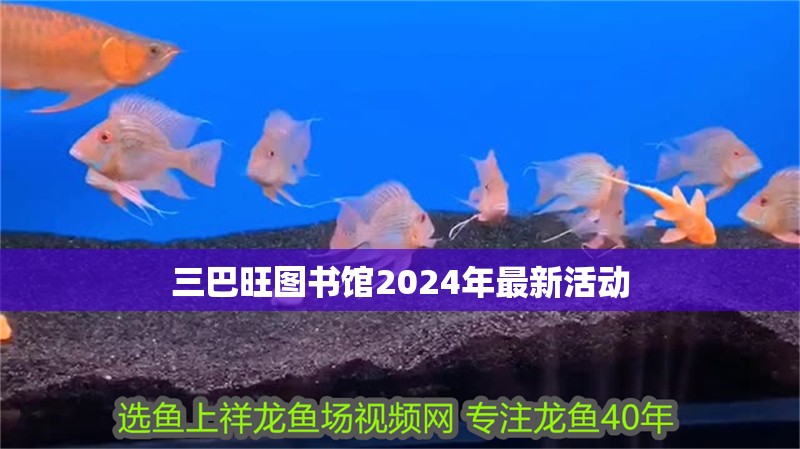 三巴旺圖書館2024年最新活動(dòng)