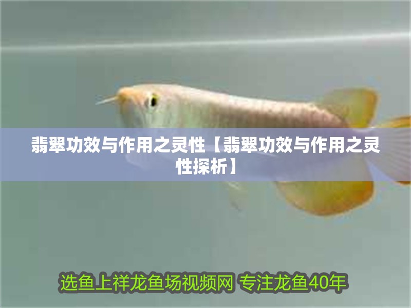 翡翠功效與作用之靈性【翡翠功效與作用之靈性探析】