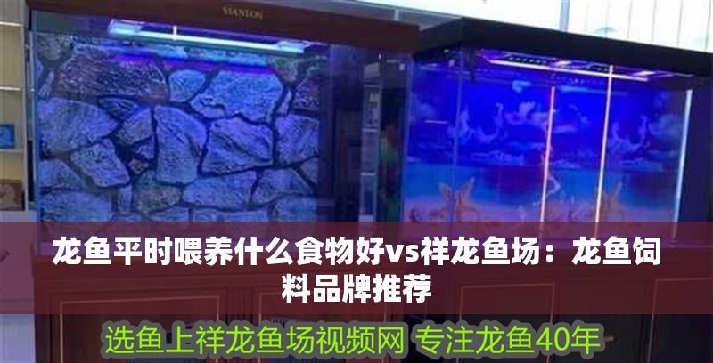 龍魚平時喂養什么食物好vs祥龍魚場：龍魚飼料品牌推薦