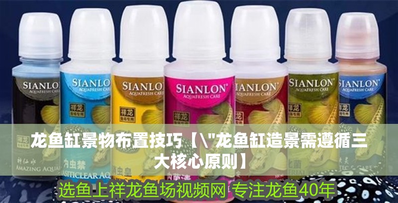 龍魚缸景物布置技巧【\