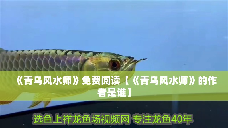 《青烏風水師》免費閱讀【《青烏風水師》的作者是誰】