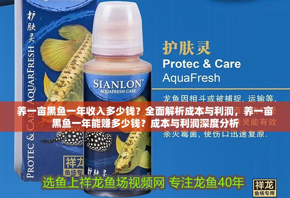 養(yǎng)一畝黑魚(yú)一年收入多少錢(qián)？全面解析成本與利潤(rùn)，養(yǎng)一畝黑魚(yú)一年能賺多少錢(qián)？成本與利潤(rùn)深度分析