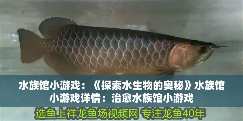 水族館小游戲：《探索水生物的奧秘》水族館小游戲詳情：治愈水族館小游戲