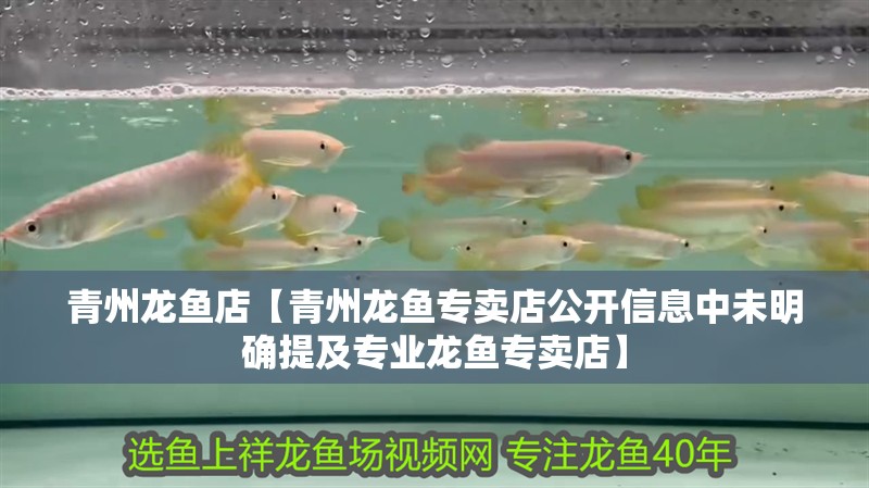 青州龍魚店【青州龍魚專賣店公開信息中未明確提及專業龍魚專賣店】 青州龍魚店【青州龍魚專賣店公開信息中未明確提及專業龍魚專賣店】 全國水族館企業名錄