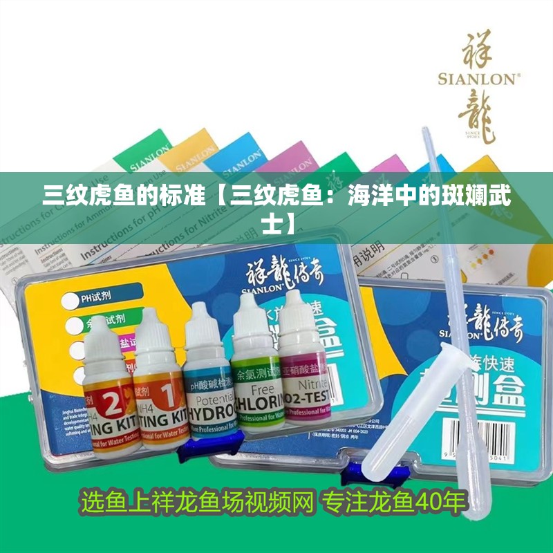 魚缸用增氧泵價格是多少:魚缸增氧機-xtrac增氧機-xtrac增氧機 三紋虎魚的標準【三紋虎魚:海洋中的斑斕武士】 龍魚論壇 三紋虎魚的標準【三紋虎魚:海洋中的斑斕武士】 三紋虎魚的標準【三紋虎魚:海洋中的斑斕武士】 龍魚論壇