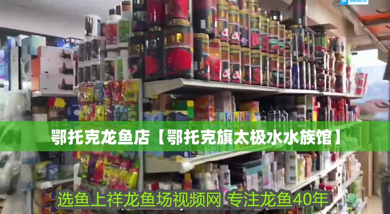 鄂托克龍魚店【鄂托克旗太極水水族館】