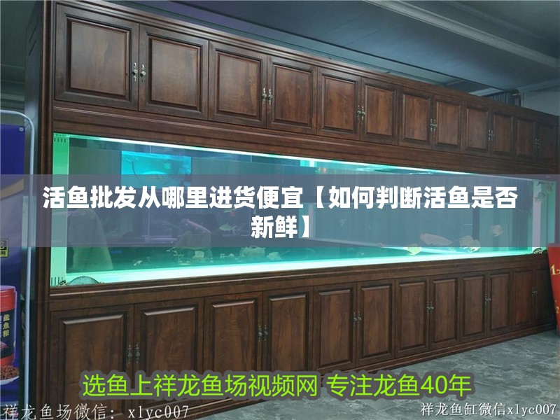 魚缸用增氧泵價(jià)格是多少:魚缸增氧機(jī)-xtrac增氧機(jī)-xtrac增氧機(jī) 活魚批發(fā)從哪里進(jìn)貨便宜【如何判斷活魚是否新鮮】 龍魚論壇 活魚批發(fā)從哪里進(jìn)貨便宜【如何判斷活魚是否新鮮】 活魚批發(fā)從哪里進(jìn)貨便宜【如何判斷活魚是否新鮮】 龍魚論壇