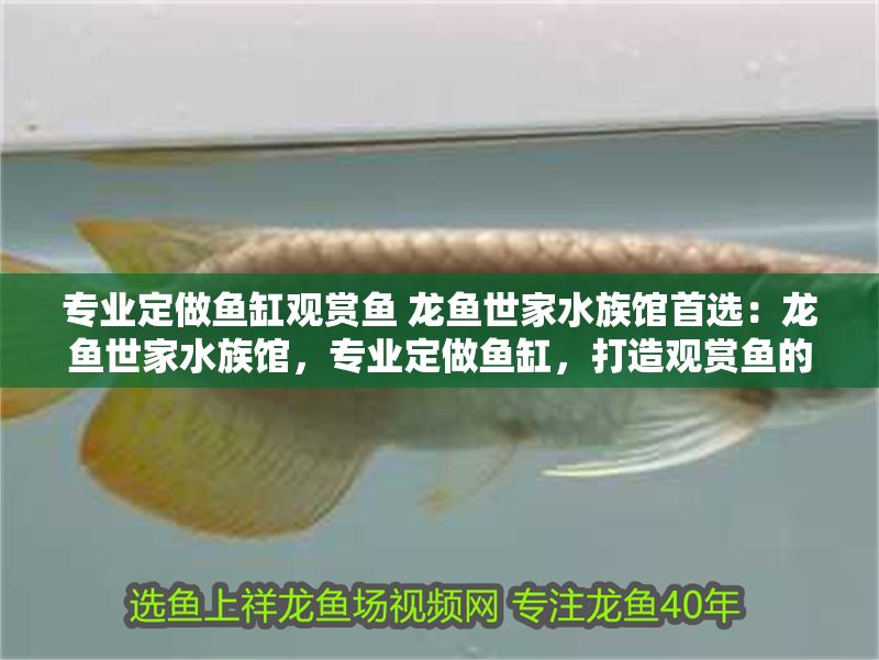專業定做魚缸觀賞魚 龍魚世家水族館首選：龍魚世家水族館，專業定做魚缸，打造觀賞魚的夢幻家園