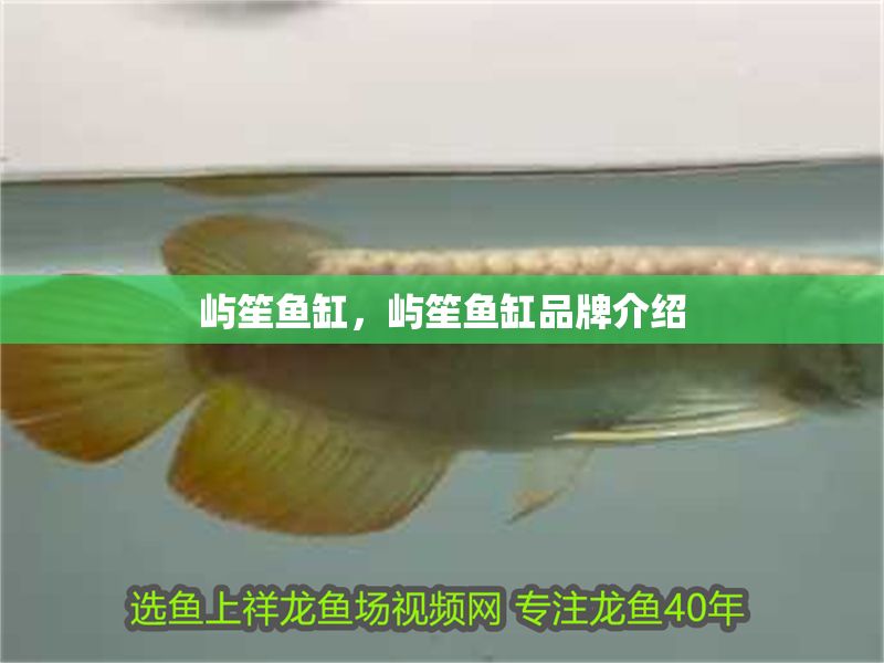 嶼笙魚缸，嶼笙魚缸品牌介紹