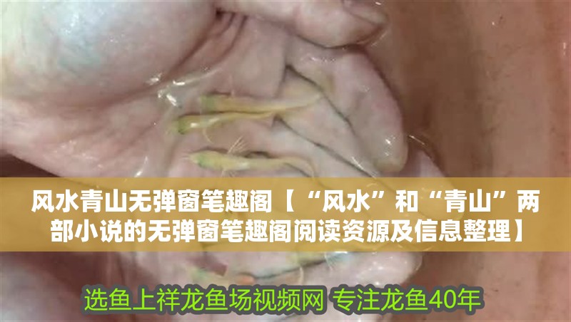 風水<strong><mark>青山</mark></strong>無彈窗筆趣閣【“風水”和“<strong><mark>青山</mark></strong>”兩部小說的無彈窗筆趣閣閱讀資源及信息整理】