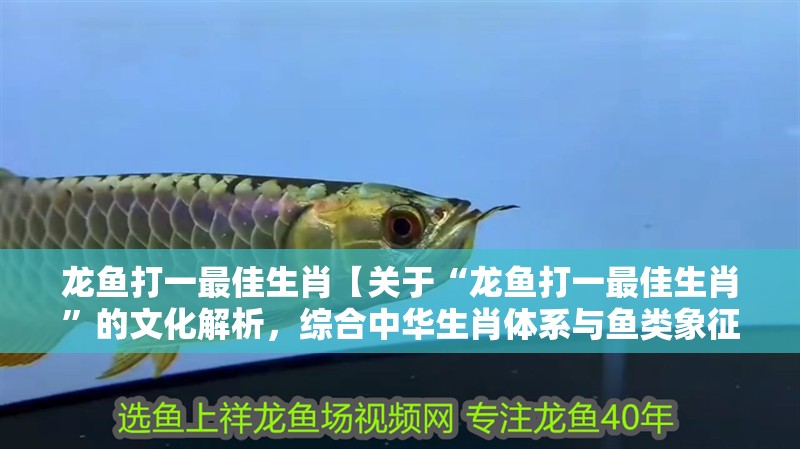 龍魚打一最佳生肖【關于“龍魚打一最佳生肖”的文化解析，綜合中華生肖體系與魚類象征學】