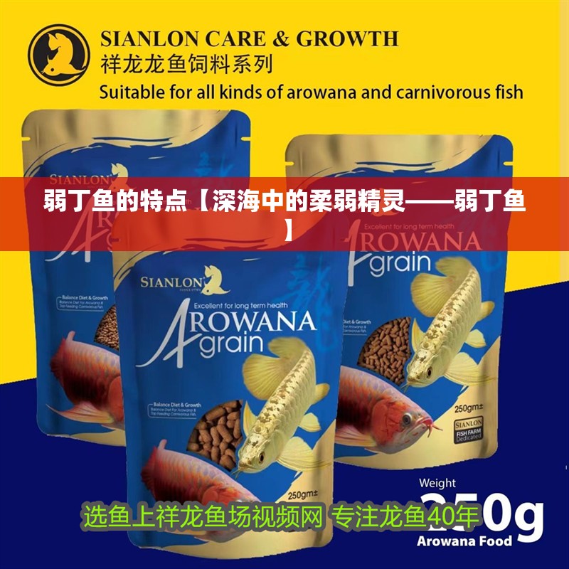 鸚鵡魚和銀龍魚混養(yǎng)怎樣喂食 弱丁魚的特點【深海中的柔弱精靈——弱丁魚】 龍魚論壇 弱丁魚的特點【深海中的柔弱精靈——弱丁魚】 弱丁魚的特點【深海中的柔弱精靈——弱丁魚】 龍魚論壇