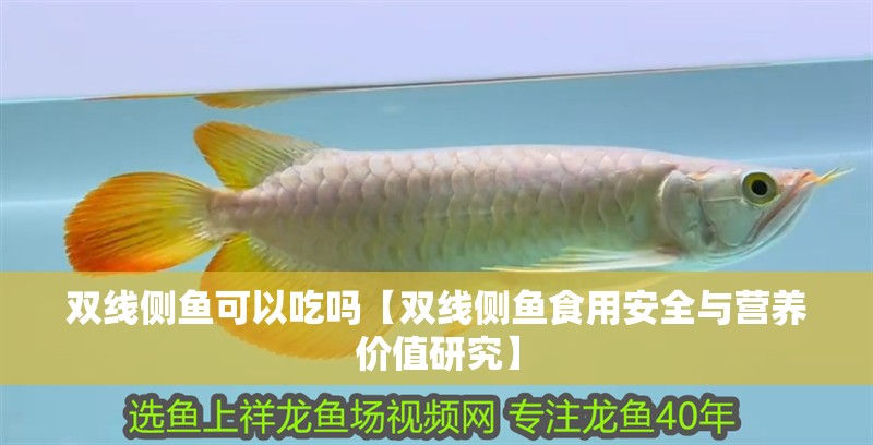 雙線側(cè)魚可以吃嗎【雙線側(cè)魚食用安全與營養(yǎng)價值研究】