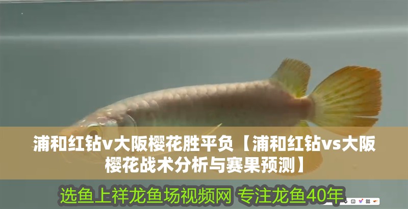 浦和紅鉆v大阪櫻花勝平負【浦和紅鉆vs大阪櫻花戰術分析與賽果預測】