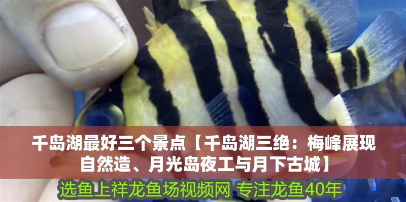 千島湖最好三個(gè)景點(diǎn)【千島湖三絕：梅峰展現(xiàn)自然造、月光島夜工與月下<strong><mark>古城</mark></strong>】