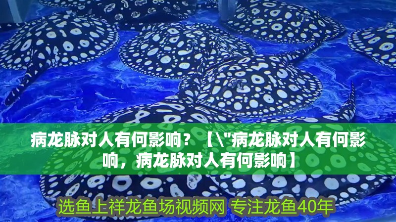 病龍脈對人有何影響？【 病龍脈對人有何影響？【\