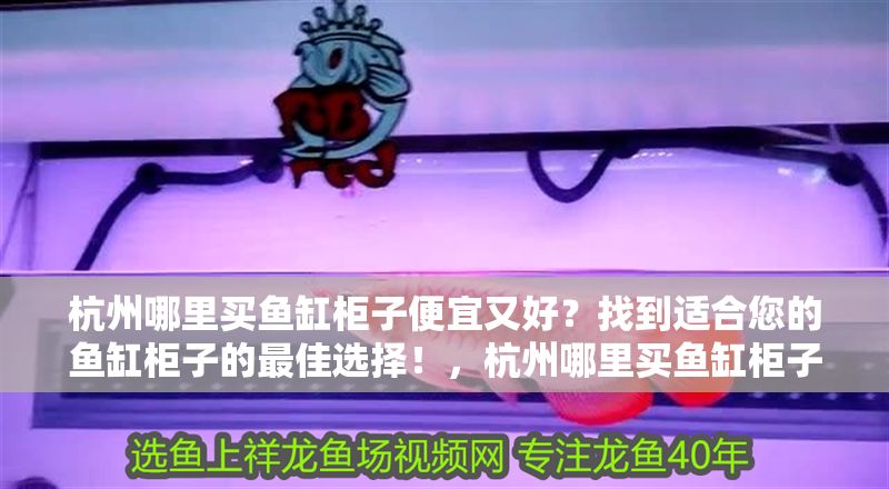 杭州哪里買魚缸柜子便宜又好？找到適合您的魚缸柜子的最佳選擇！，杭州哪里買魚缸柜子便宜又好找到適合您的魚缸柜子的最佳選擇