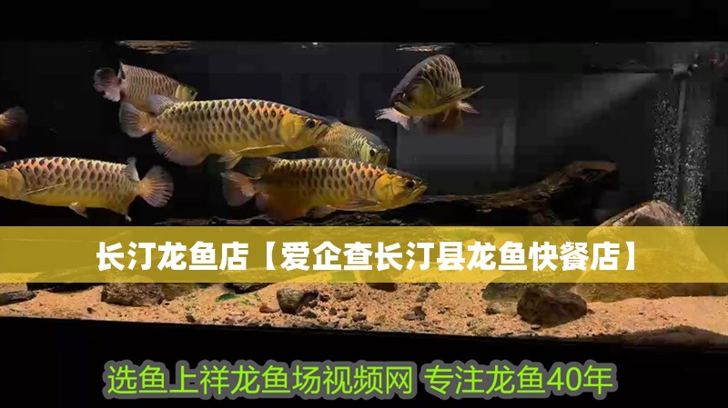 長汀龍魚店【愛企查長汀縣龍魚快餐店】