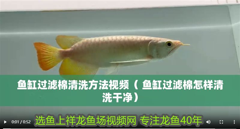 魚缸過濾棉清洗方法視頻（ 魚缸過濾棉怎樣清洗干凈）
