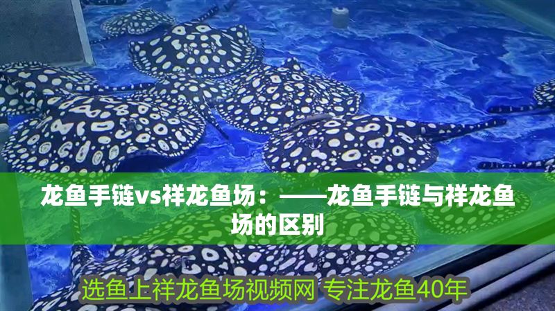 龍魚手鏈vs祥龍魚場:——龍魚手鏈與祥龍魚場的區別 vs祥龍魚場 第2張 龍魚手鏈vs祥龍魚場:——龍魚手鏈與祥龍魚場的區別 龍魚手鏈vs祥龍魚場:——龍魚手鏈與祥龍魚場的區別 vs祥龍魚場 第2張