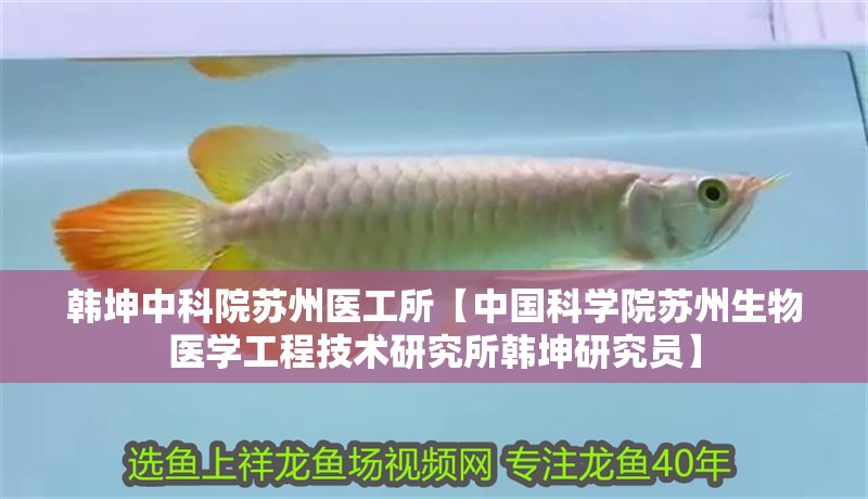 韓坤中科院蘇州醫工所【中國科學院蘇州生物醫學工程技術研究所韓坤研究員】 韓坤中科院蘇州醫工所【中國科學院蘇州生物醫學工程技術研究所韓坤研究員】 龍魚論壇