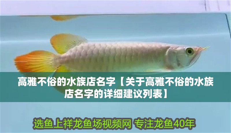 高雅不俗的水族店名字【關(guān)于高雅不俗的水族店名字的詳細(xì)建議列表】 高雅不俗的水族店名字【關(guān)于高雅不俗的水族店名字的詳細(xì)建議列表】 龍魚論壇