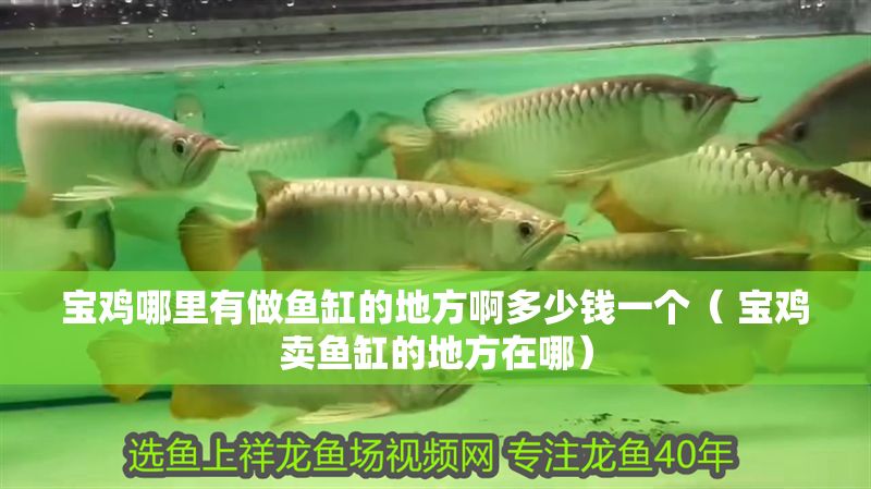 寶雞哪里有做魚缸的地方啊多少錢一個(gè)（ 寶雞賣魚缸的地方在哪）