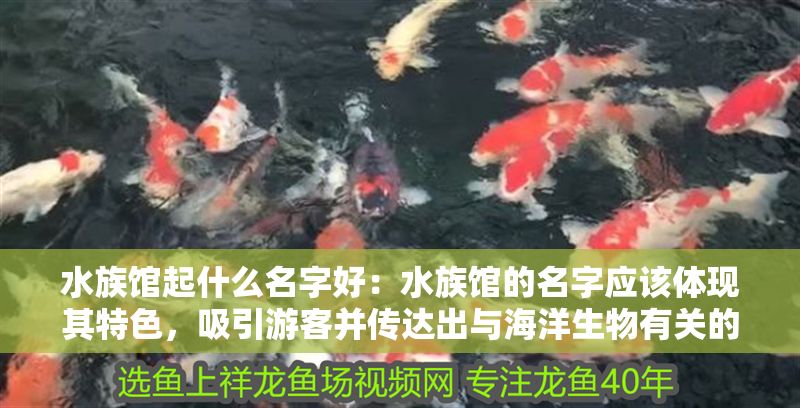 水族館起什么名字好：水族館的名字應該體現其特色，吸引游客并傳達出與海洋生物有關的主題