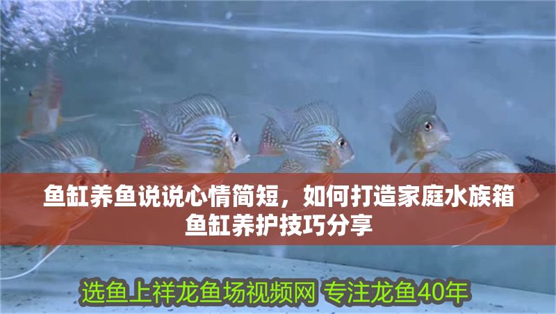 魚缸養魚說說心情簡短,如何打造家庭水族箱魚缸養護技巧分享 魚缸百科 第2張 魚缸養魚說說心情簡短,如何打造家庭水族箱魚缸養護技巧分享 魚缸養魚說說心情簡短,如何打造家庭水族箱魚缸養護技巧分享 魚缸百科 第2張