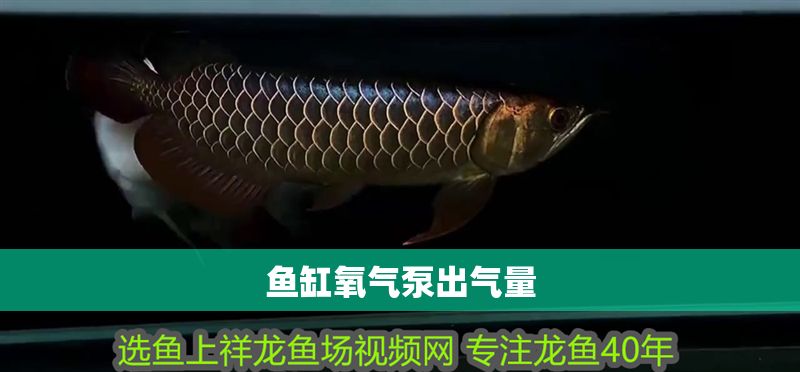 魚缸氧氣泵出氣量