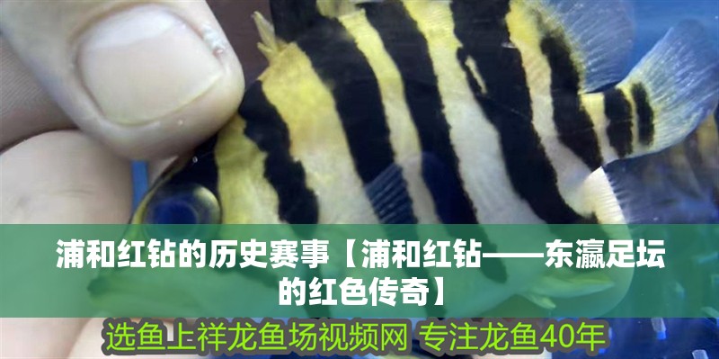 浦和紅鉆的歷史賽事【浦和紅鉆——東瀛足壇的紅色傳奇】