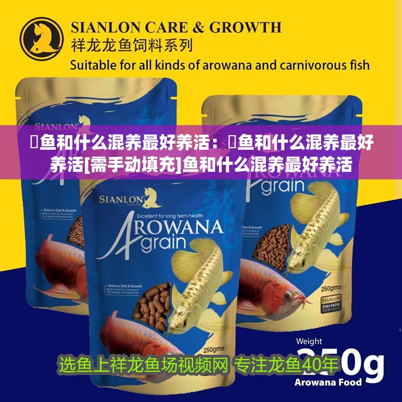 魟魚和什么混養最好養活：魟魚和什么混養最好養活[需手動填充]魚和什么混養最好養活