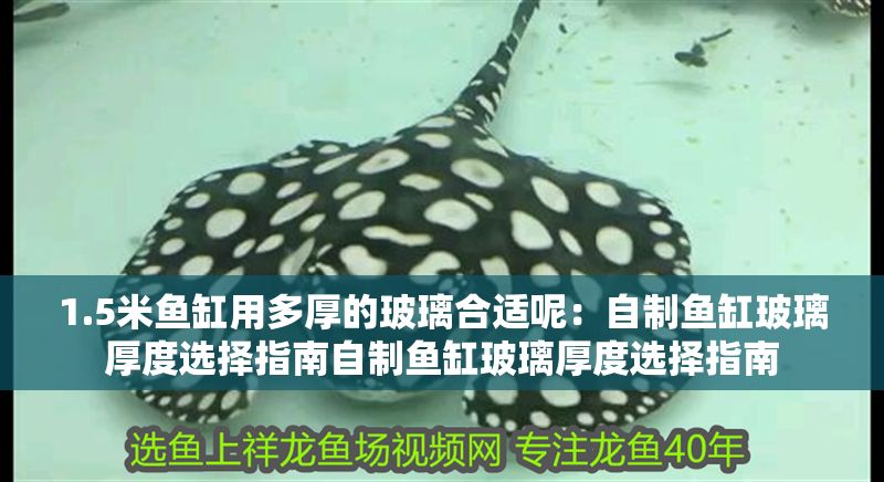 1.5米魚缸用多厚的玻璃合適呢：自制魚缸玻璃厚度選擇指南自制魚缸玻璃厚度選擇指南 1.5米魚缸用多厚的玻璃合適呢：自制魚缸玻璃厚度選擇指南自制魚缸玻璃厚度選擇指南 魚缸百科 第2張