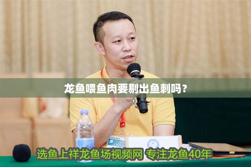 龍魚喂魚肉要剔出魚刺嗎？