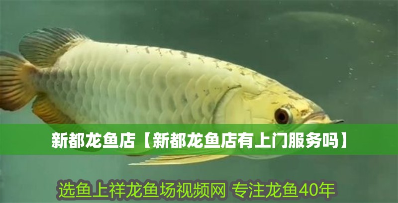 <strong><mark>新都</mark></strong>龍魚店【<strong><mark>新都</mark></strong>龍魚店有上門服務(wù)嗎】