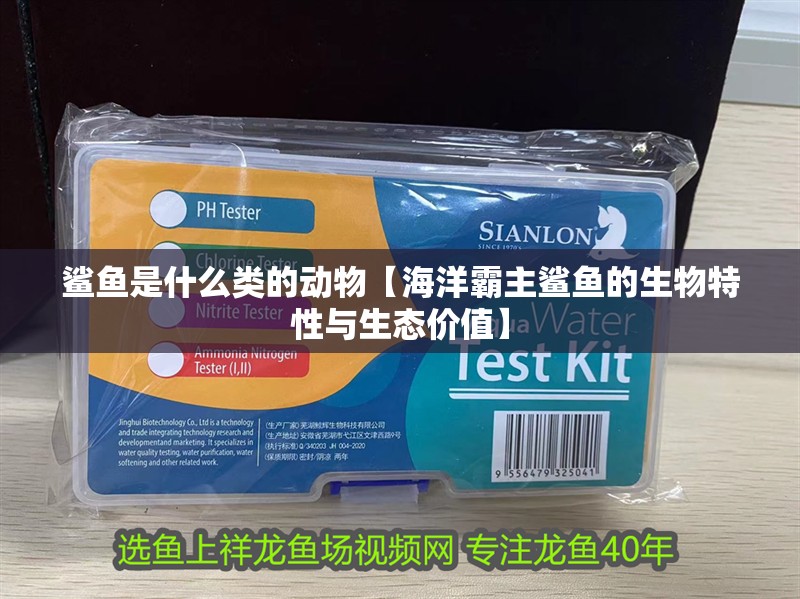 鯊魚是什么類的動物【海洋霸主鯊魚的生物特性與生態價值】 鯊魚是什么類的動物【海洋霸主鯊魚的生物特性與生態價值】 龍魚論壇