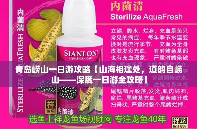 青島嶗山一日游攻略【山海相逢處，道韻自嶗山——深度一日游全攻略】 青島嶗山一日游攻略【山海相逢處，道韻自嶗山——深度一日游全攻略】 龍魚論壇