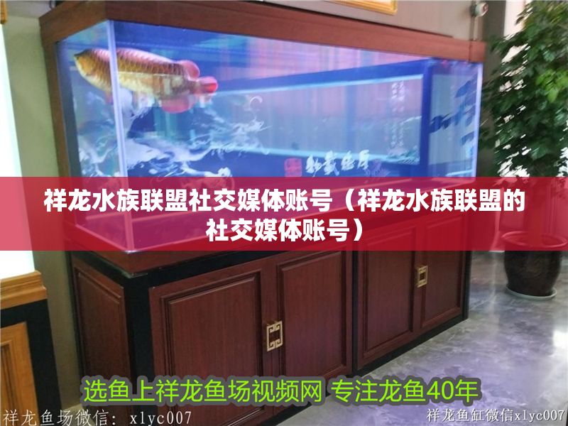 祥龍水族聯盟社交媒體賬號（祥龍水族聯盟的社交媒體賬號）