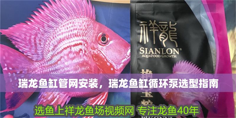 瑞龍魚缸管網(wǎng)安裝，瑞龍魚缸循環(huán)泵選型指南