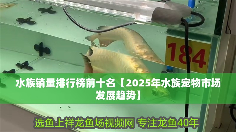 水族銷量排行榜前十名【2025年水族寵物市場發(fā)展趨勢】