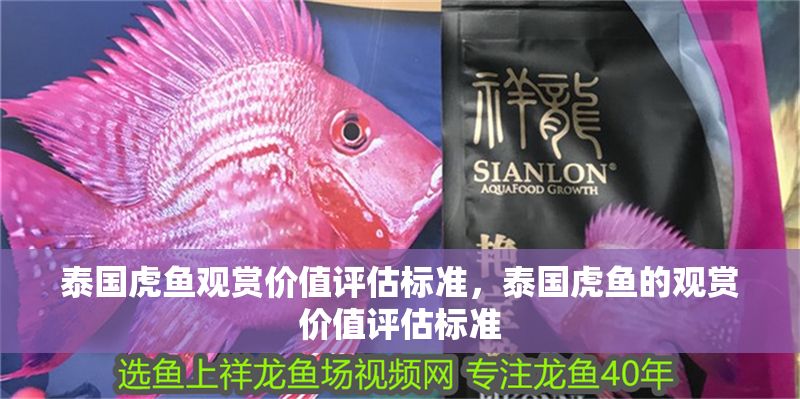 泰國虎魚觀賞價值評估標準，泰國虎魚的觀賞價值評估標準
