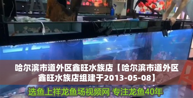 哈爾濱市道外區鑫旺水族店【哈爾濱市道外區鑫旺水族店組建于2013-05-08】 哈爾濱市道外區鑫旺水族店【哈爾濱市道外區鑫旺水族店組建于2013-05-08】 全國水族館企業名錄