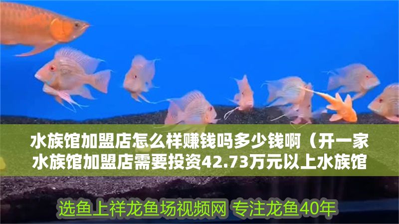 水族館加盟店怎么樣賺錢嗎多少錢啊（開一家水族館加盟店需要投資42.73萬元以上水族館營銷策略）