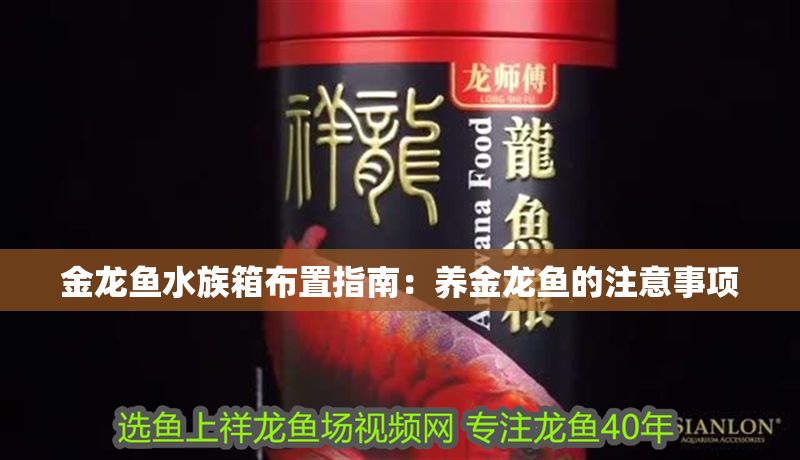金龍魚(yú)水族箱布置指南：養(yǎng)金龍魚(yú)的注意事項(xiàng)