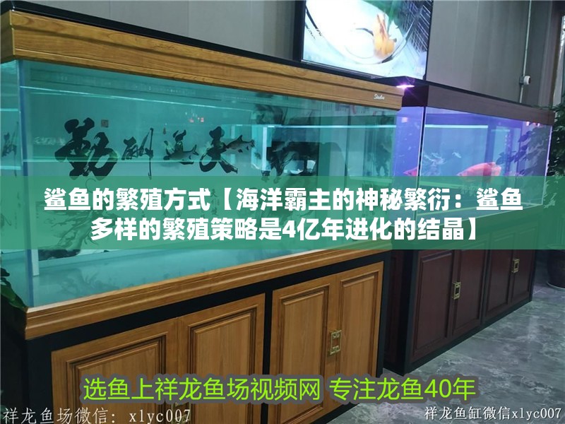 鯊魚的繁殖方式【海洋霸主的神秘繁衍：鯊魚多樣的繁殖策略是4億年進化的結晶】