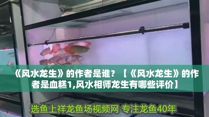 《風水龍生》的作者是誰？【《風水龍生》的作者是血糕1,風水相師龍生有哪些評價】